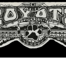 Banner for the Coyote